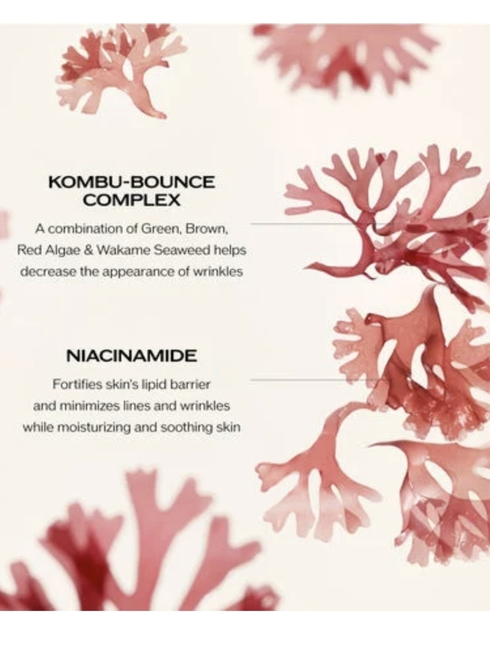 Shiseido Benefiance Wrinkle Smoothing Cream with Bonus Serum Sample, 15ml, NIB - Picture 5 of 10
